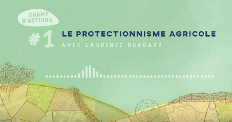 Champs Daction Laurence Roudart Protectionnisme Agricol