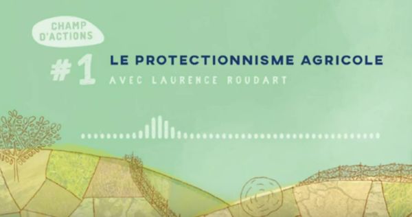 Champs Daction Laurence Roudart Protectionnisme Agricol